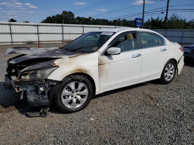 honda accord lx 2010 1hgcp2f31aa113667