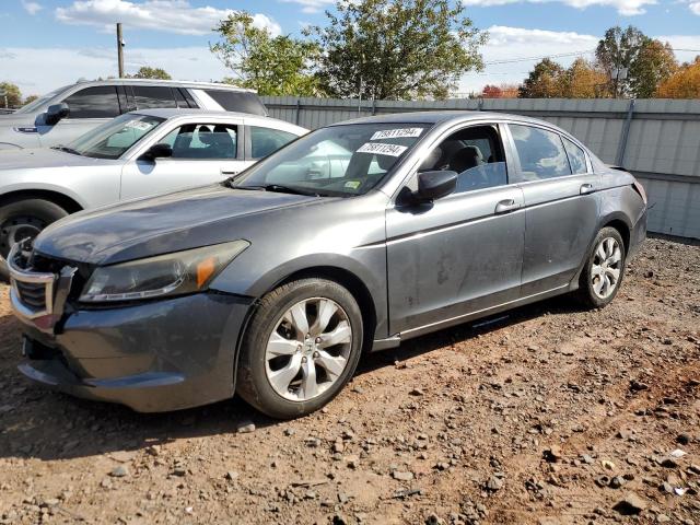 honda accord lx 2010 1hgcp2f3xaa069068