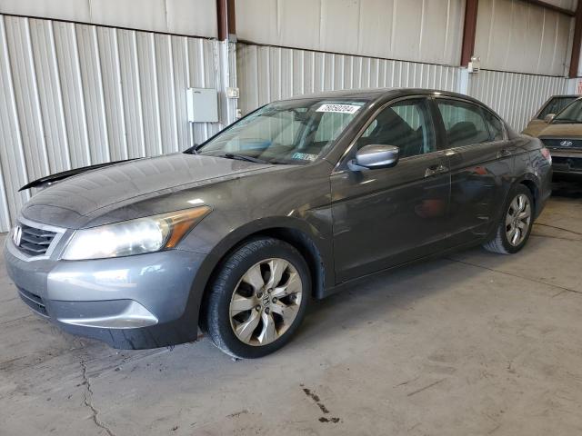 honda accord ex 2010 1hgcp2f72aa116421