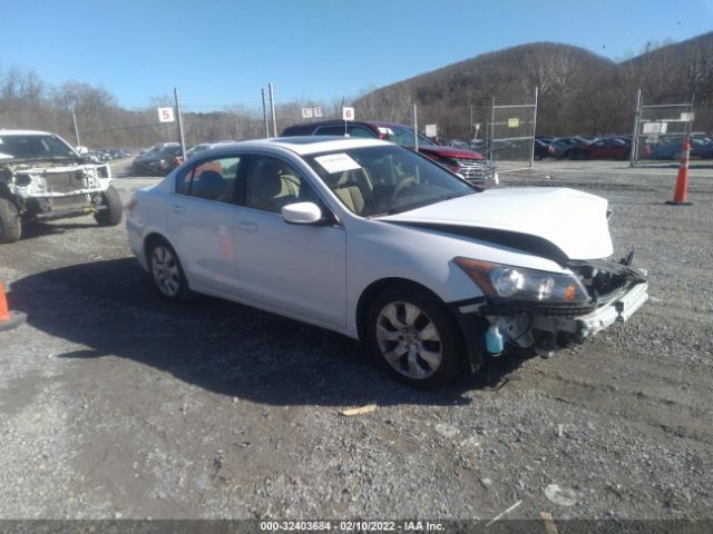 honda accord ex 2010 1hgcp2f7xaa178861