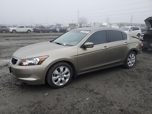 honda accord exl 2010 1hgcp2f81aa010213