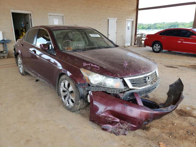 honda accord exl 2010 1hgcp2f81aa094100