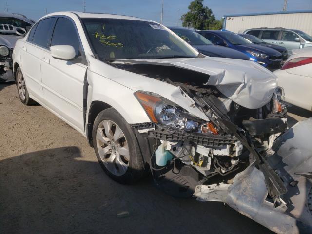 honda accord exl 2010 1hgcp2f81aa125443