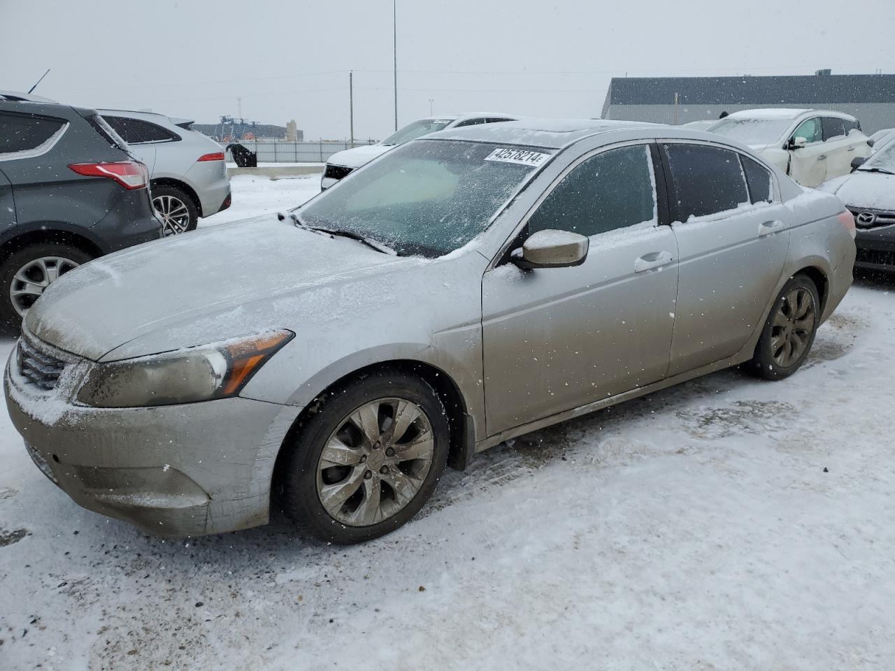 honda accord 2010 1hgcp2f81aa800904