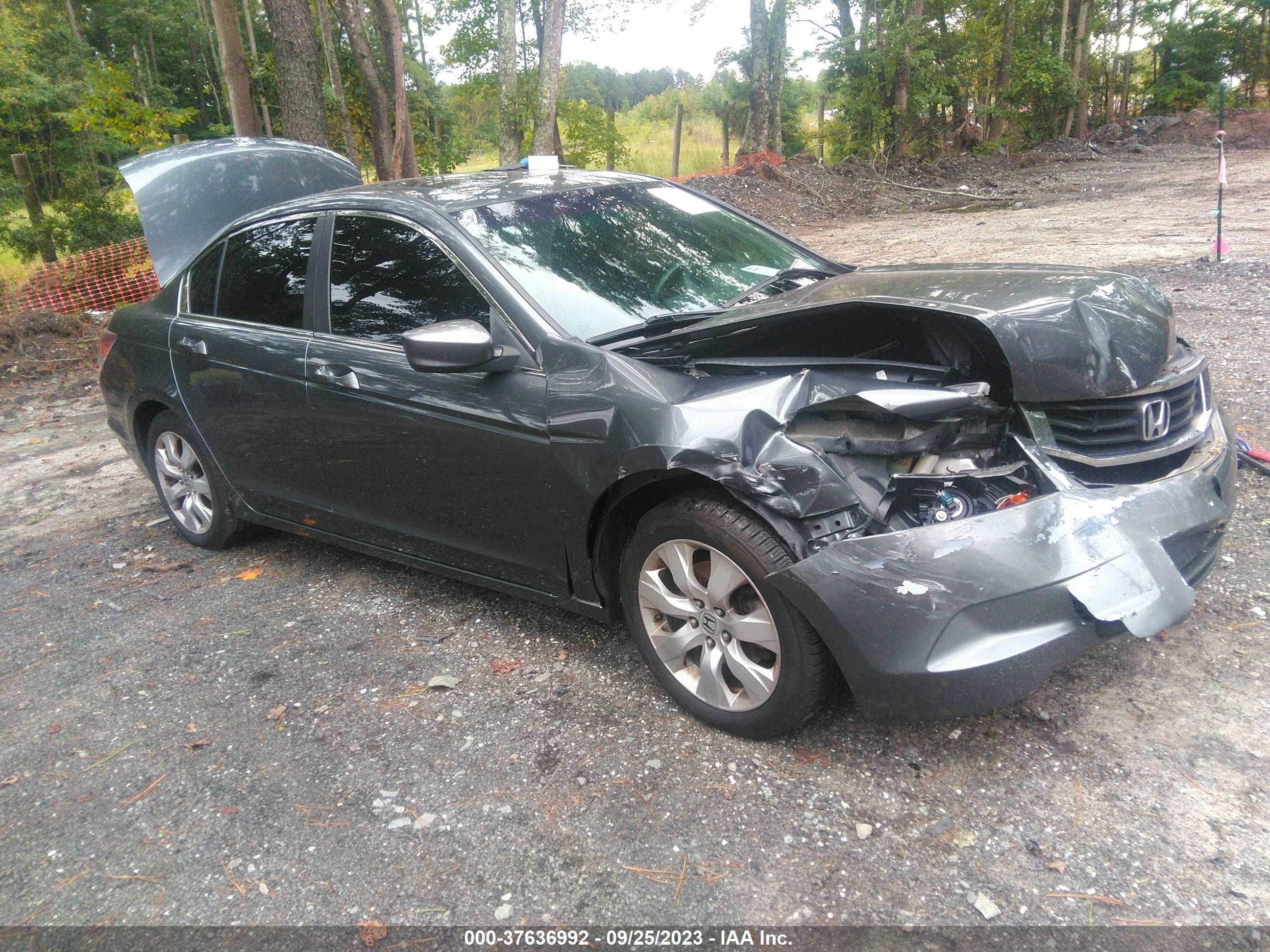 honda accord 2010 1hgcp2f82aa000600