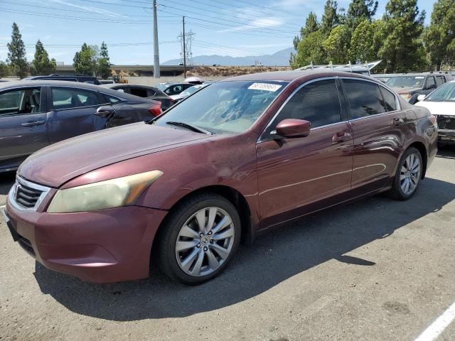 honda accord exl 2010 1hgcp2f82aa007076