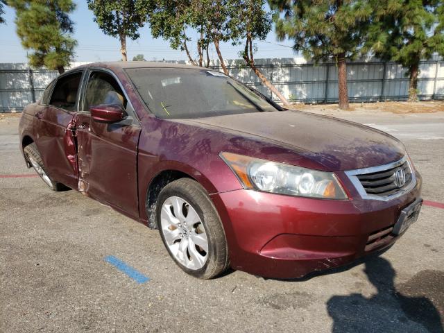 honda accord exl 2010 1hgcp2f82aa164834