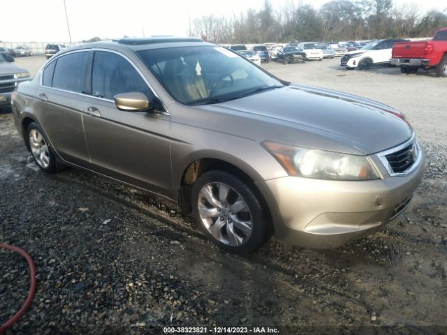 honda accord exl 2010 1hgcp2f85aa020176