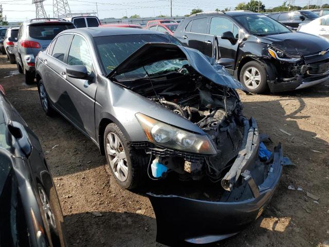 honda accord exl 2010 1hgcp2f86aa179613