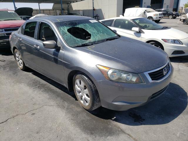 honda accord exl 2010 1hgcp2f88aa144443