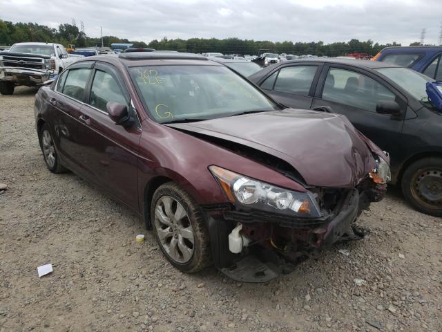 honda accord exl 2010 1hgcp2f89aa174373