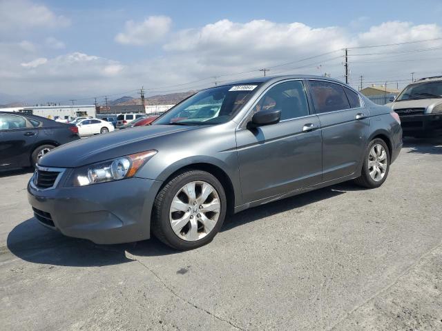 honda accord exl 2010 1hgcp2f8xaa036244