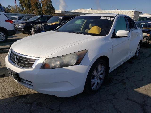 honda accord exl 2010 1hgcp2f8xaa115879