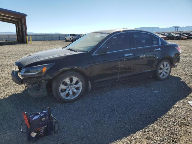 honda accord ex 2009 1hgcp36709a006131