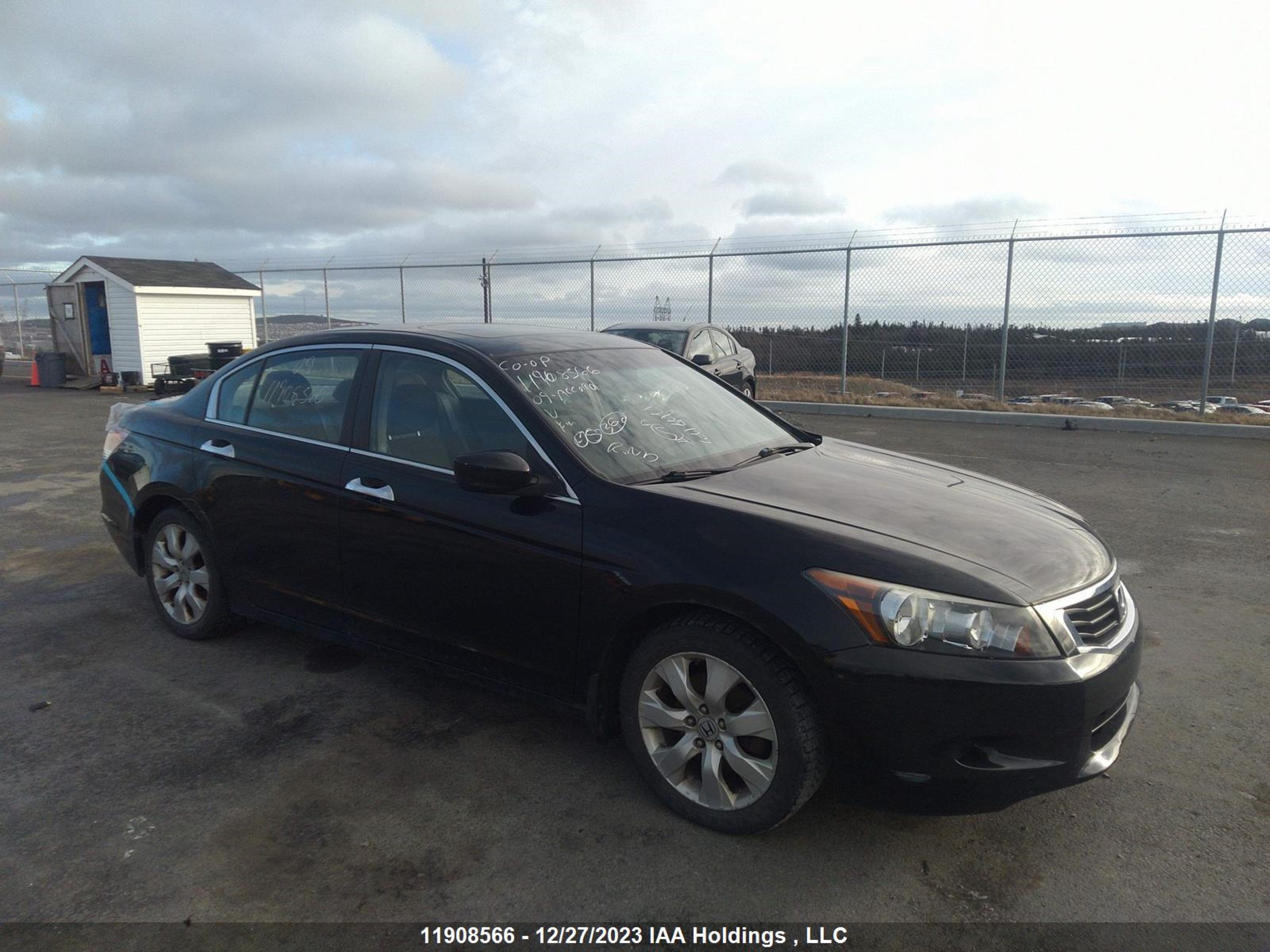 honda accord 2009 1hgcp36719a800636