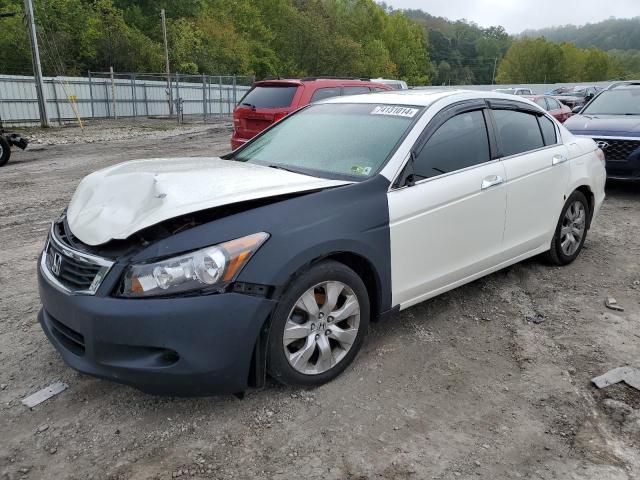 honda accord ex 2008 1hgcp367x8a080705