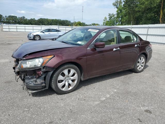 honda accord exl 2008 1hgcp36808a029464