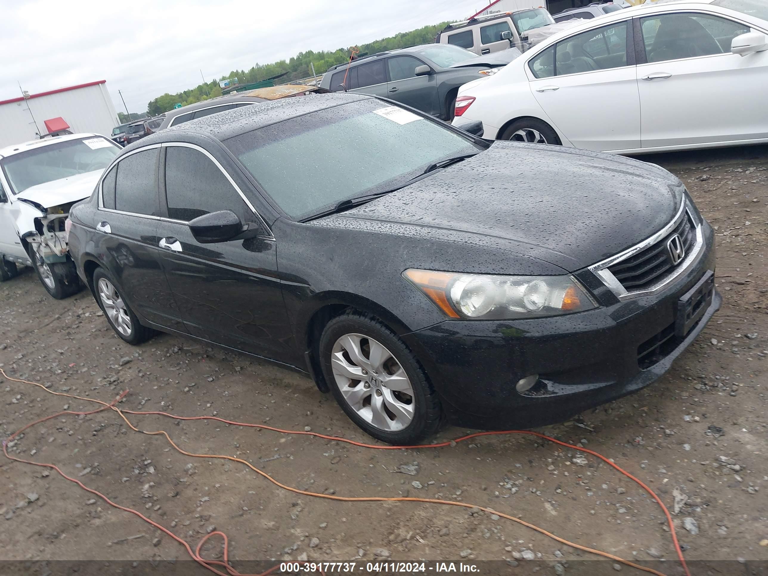 honda accord 2009 1hgcp36809a012083