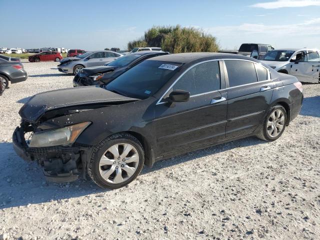 honda accord exl 2009 1hgcp36809a036397