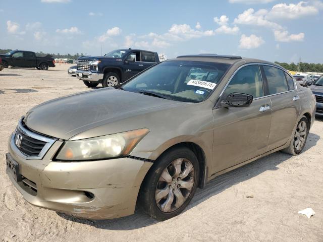 honda accord exl 2009 1hgcp36809a051482