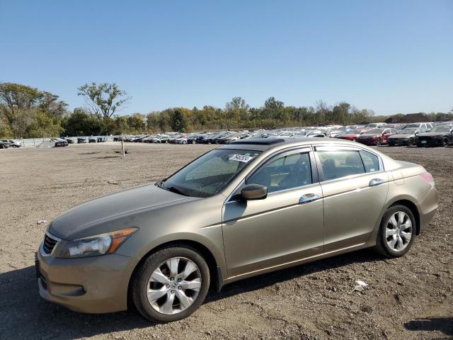 honda accord exl 2008 1hgcp36818a087308