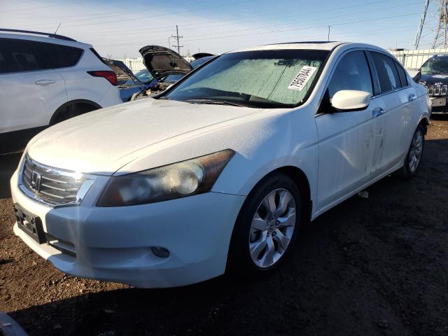 honda accord exl 2009 1hgcp36819a047943