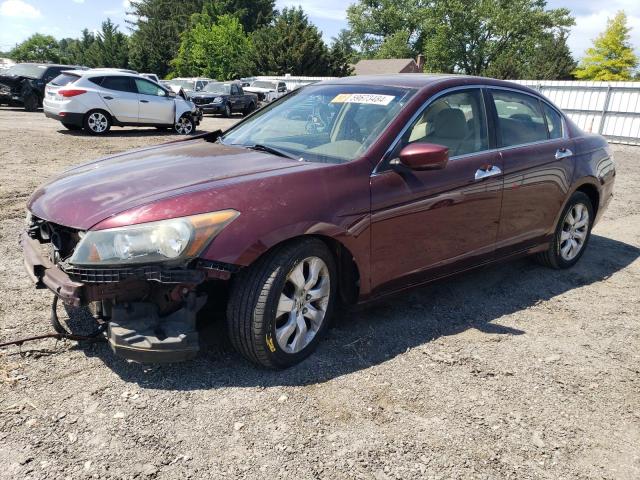 honda accord 2008 1hgcp36828a019132