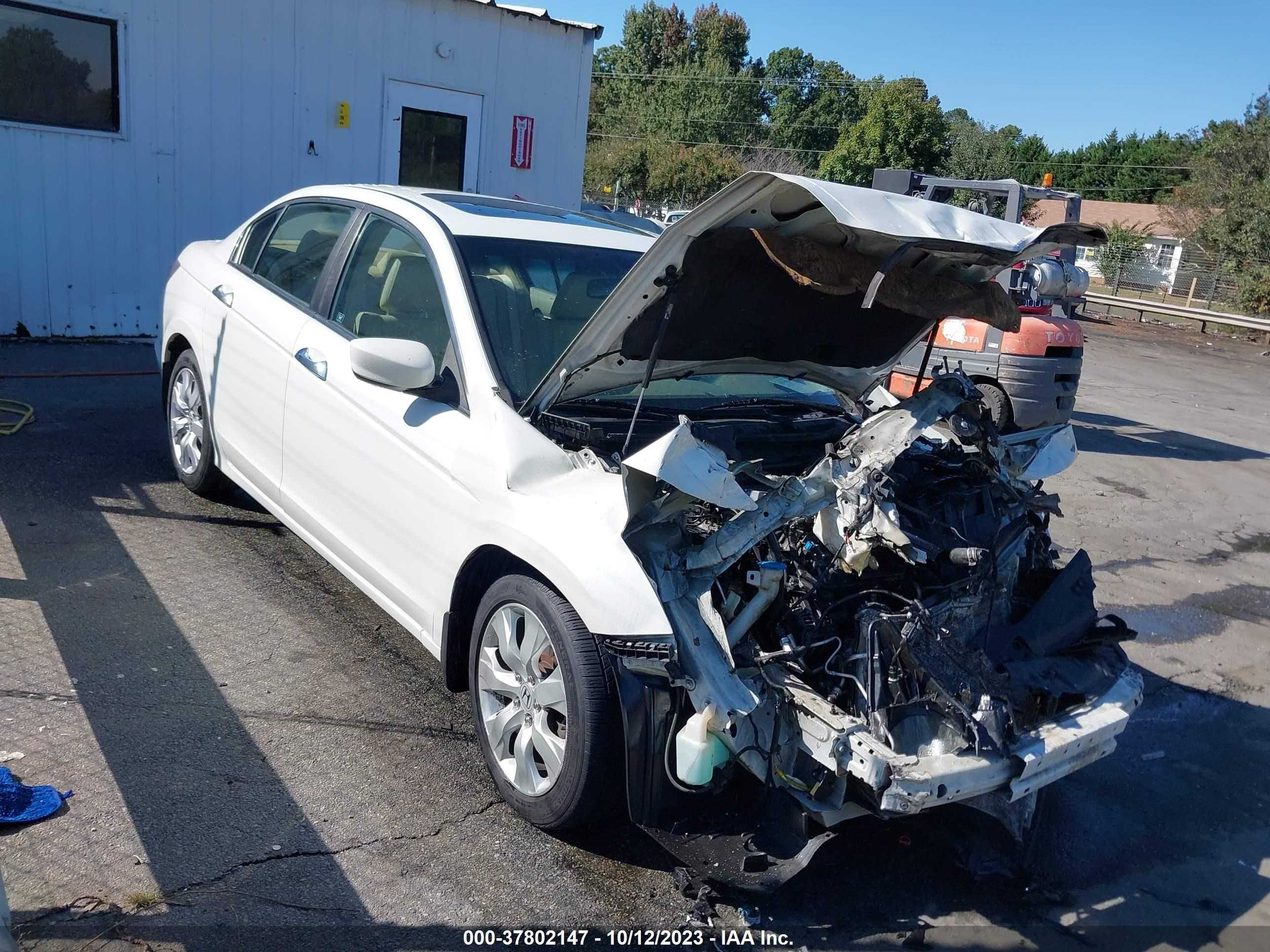 honda accord 2008 1hgcp36828a047447