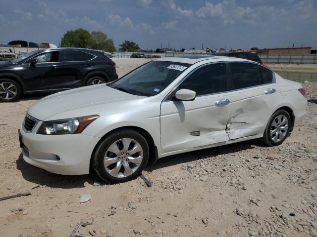 honda accord exl 2008 1hgcp36828a059503