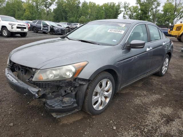 honda accord exl 2009 1hgcp36829a013624