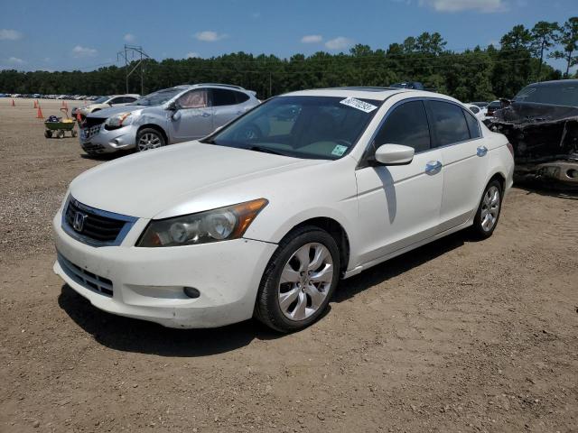 honda accord exl 2009 1hgcp36829a043304