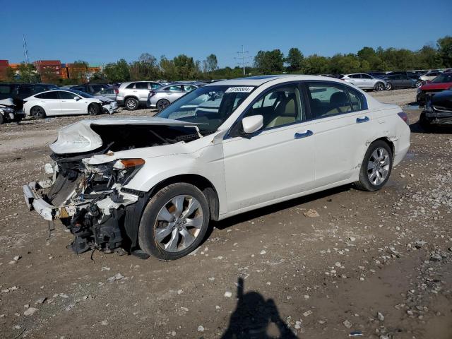 honda accord exl 2008 1hgcp36838a003280