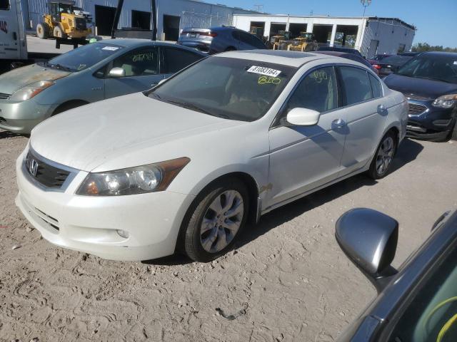 honda accord exl 2008 1hgcp36838a050485