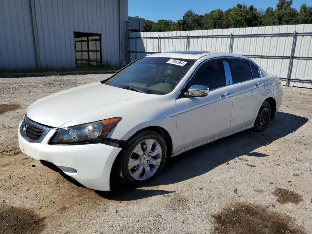 honda accord exl 2008 1hgcp36838a069506