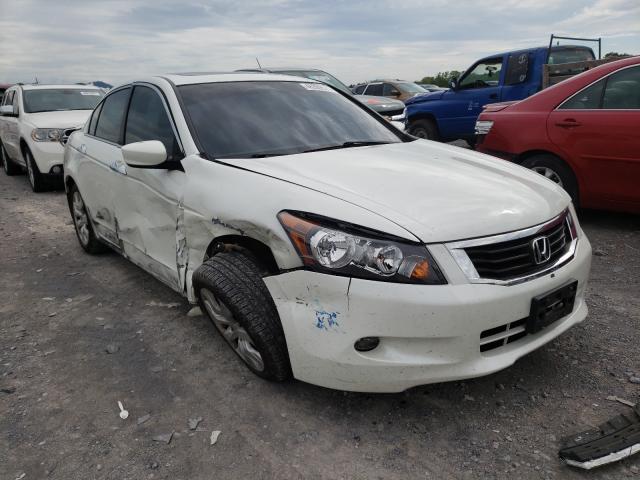 honda accord exl 2009 1hgcp36839a003443