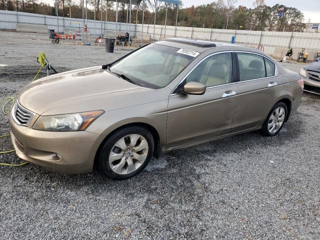 honda accord exl 2009 1hgcp36839a014801