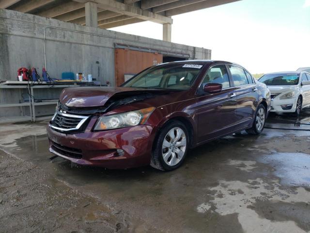 honda accord exl 2009 1hgcp36839a026415