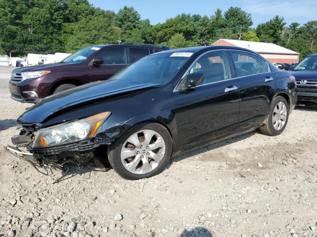 honda accord exl 2009 1hgcp36839a047491