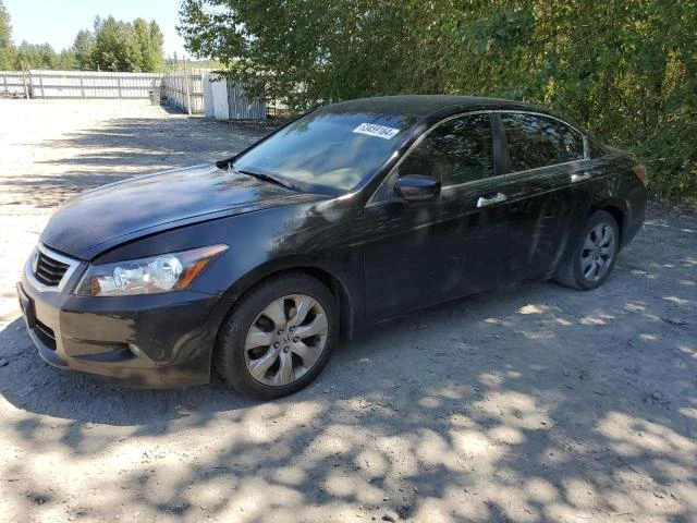 honda accord exl 2008 1hgcp36848a033047