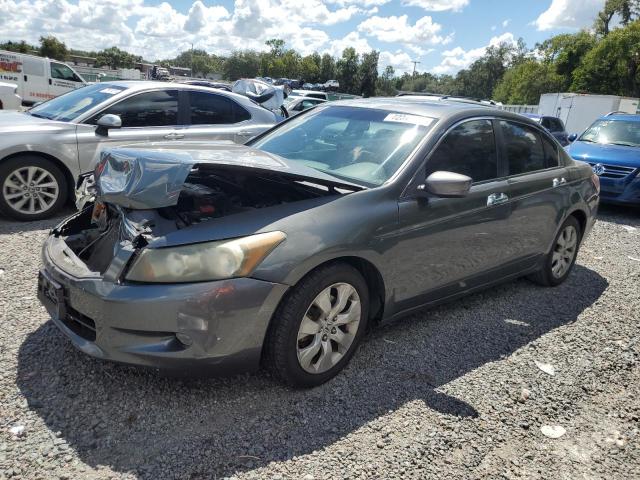 honda accord exl 2009 1hgcp36849a031574