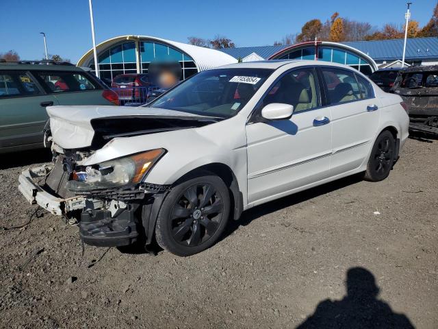 honda accord exl 2008 1hgcp36858a024423