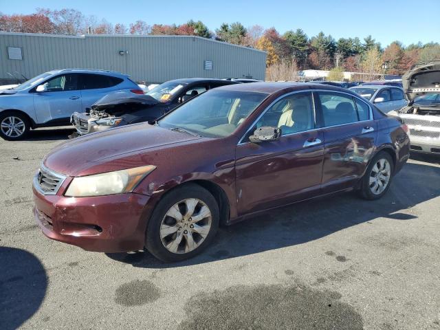 honda accord exl 2008 1hgcp36858a083729