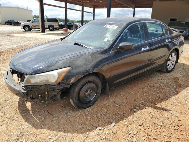 honda accord 2009 1hgcp36859a031681