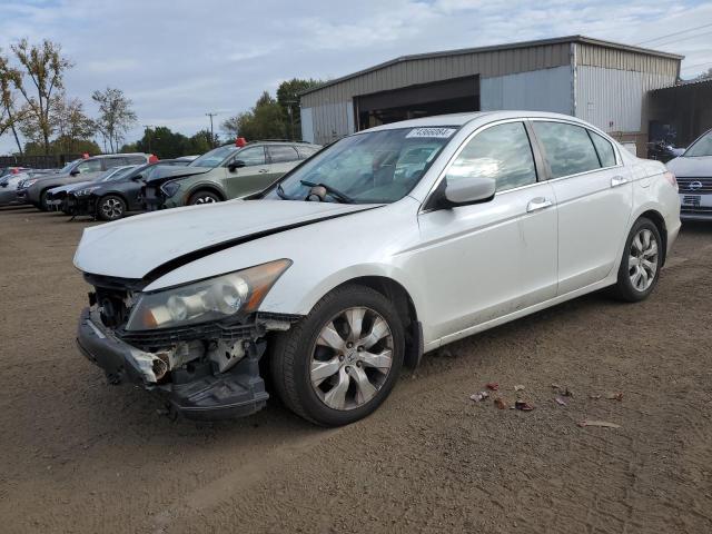 honda accord exl 2009 1hgcp36859a039215