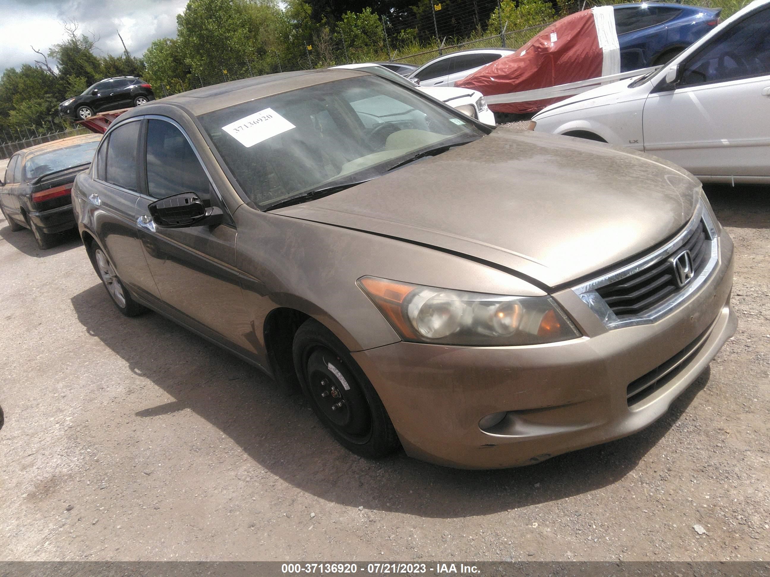 honda accord 2009 1hgcp36869a007681