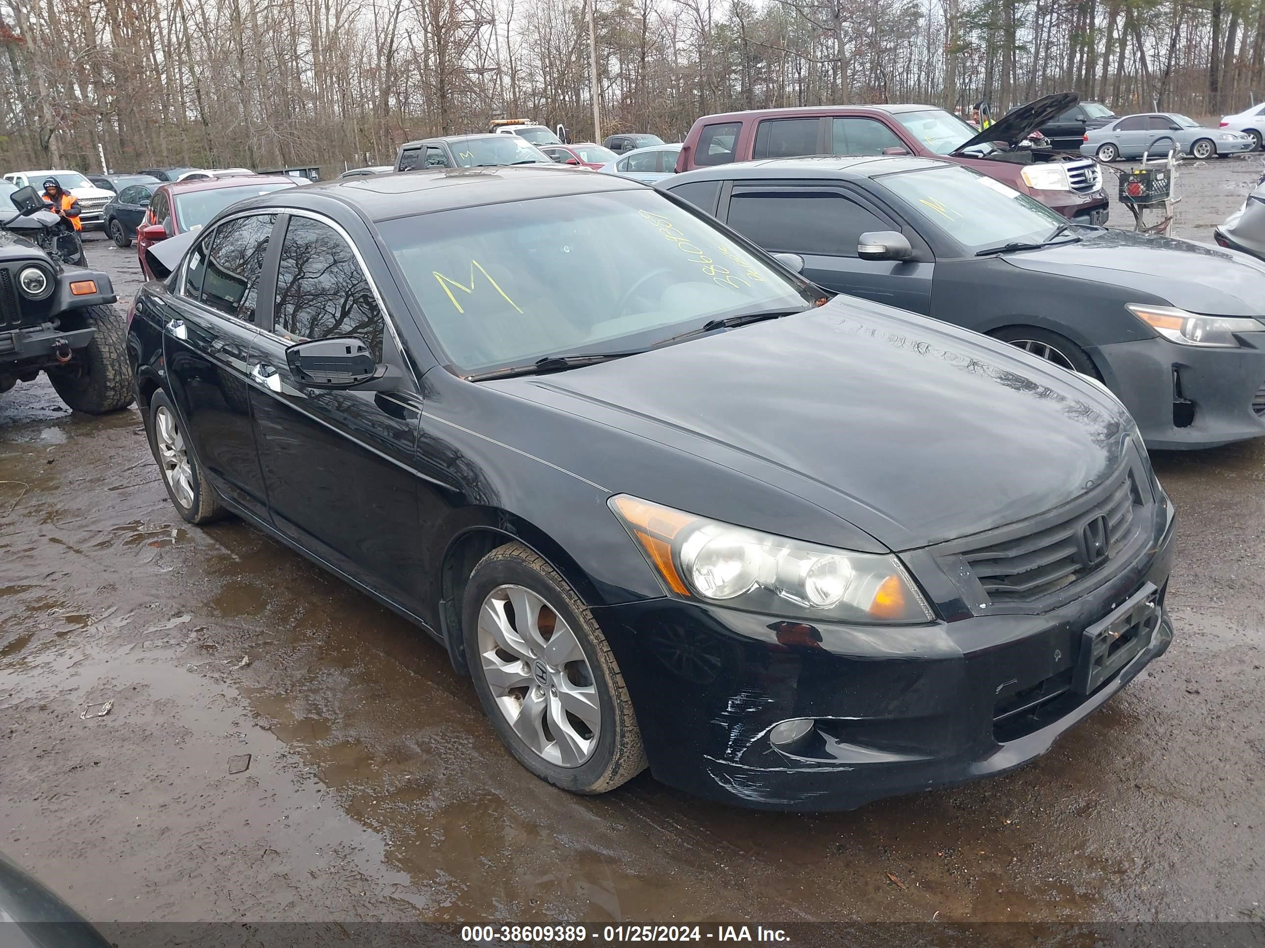 honda accord 2009 1hgcp36869a041880