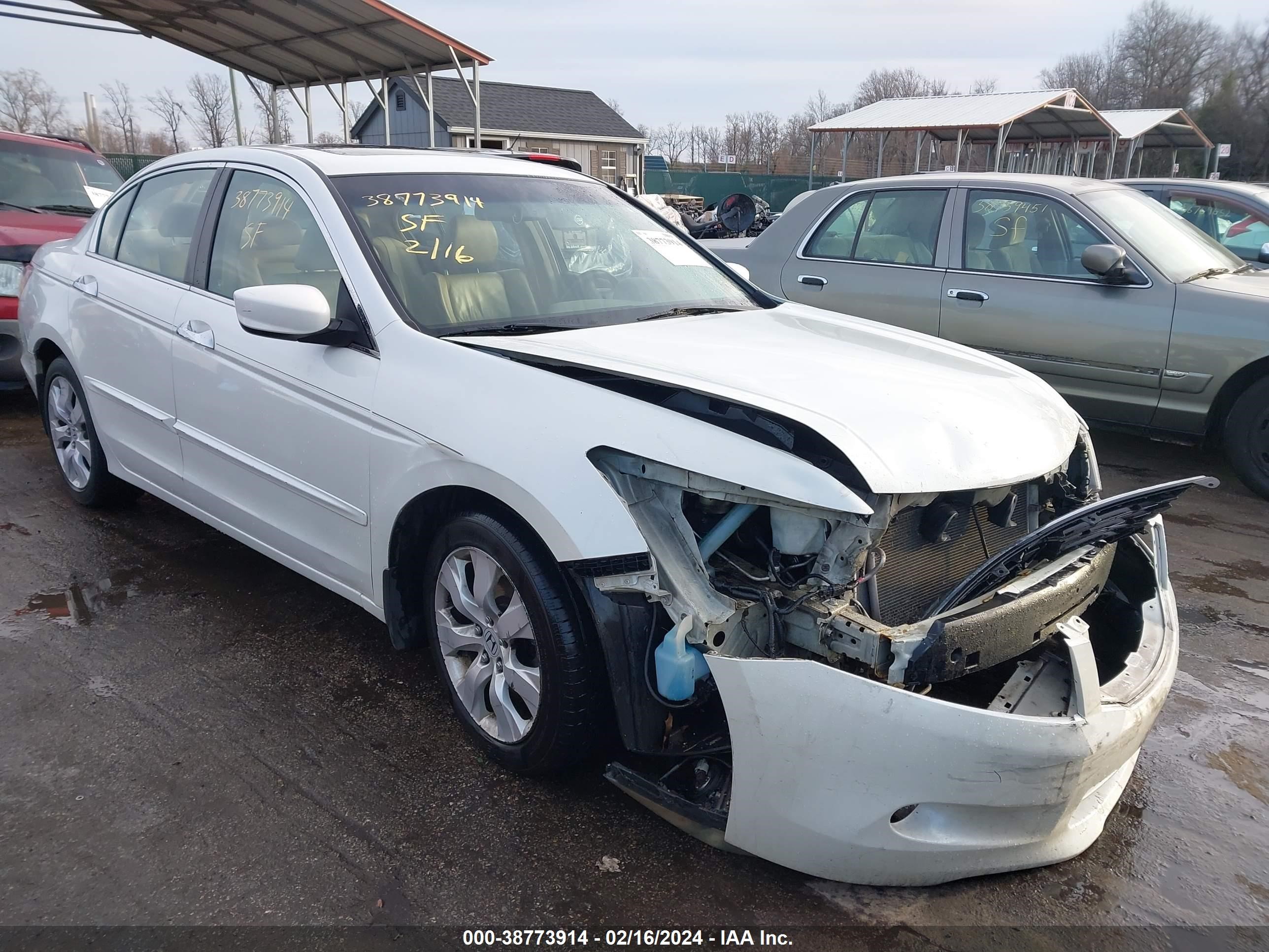 honda accord 2008 1hgcp36878a051655