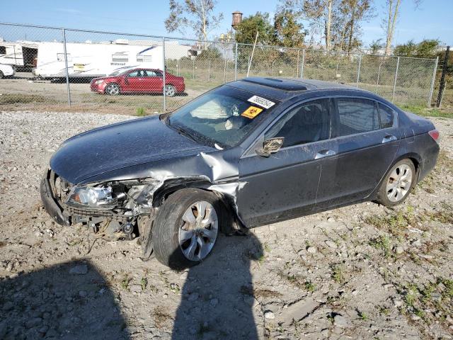 honda accord exl 2008 1hgcp36878a072621