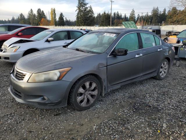 honda accord exl 2009 1hgcp36879a009343