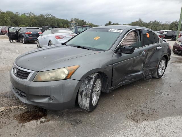 honda accord exl 2009 1hgcp36879a029141